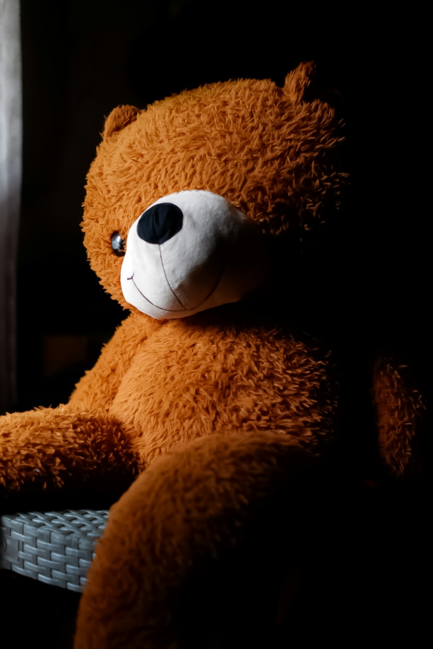 Exploring Nature Through Teddy Bear Adventures